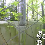 2007