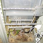DSC06193