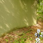 DSC06210