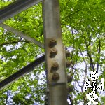DSC06215