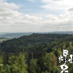 HPIM0820