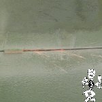 P1050990