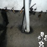 P1060001