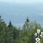 P1060358
