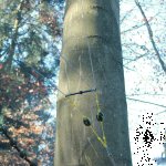 IMG_7656