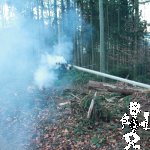 IMG_7680