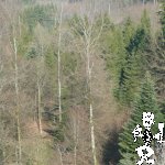 P1120321