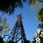 IMG_0525