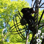 IMG_4674