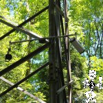 IMG_4681