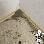 IMG_20180609_111135