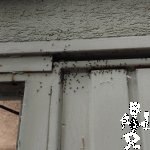 IMG_20220521_090318